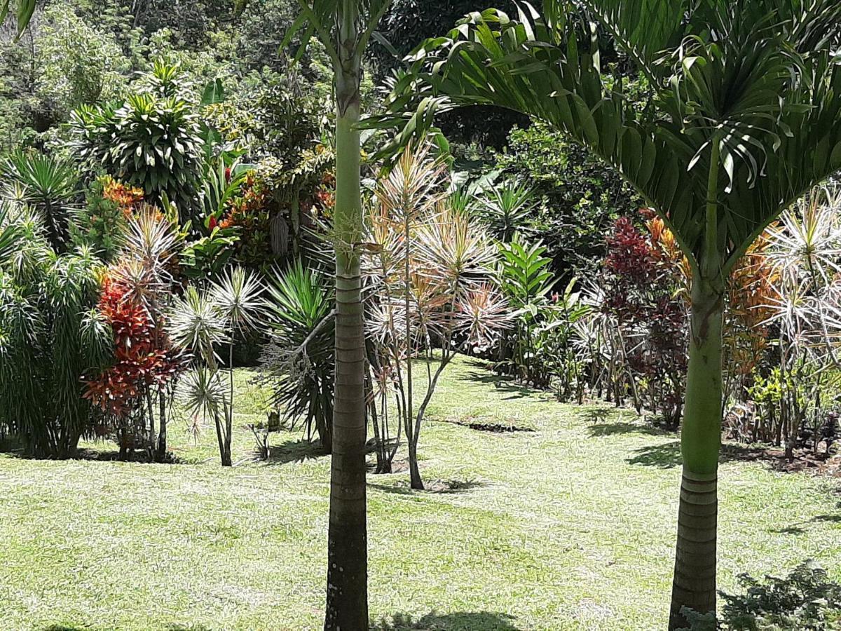 Marita'S Bed And Breakfast Nuevo Arenal Exterior foto